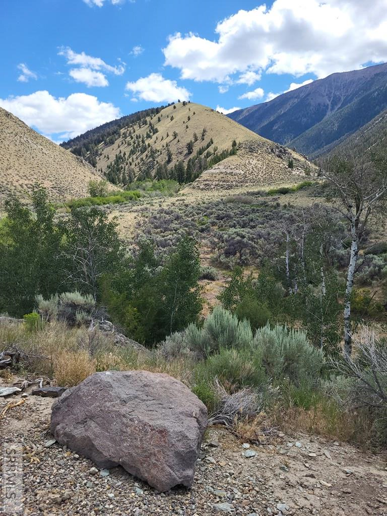 451 Peterson Creek Road Leadore, ID 83464 - Photo 30 of 34