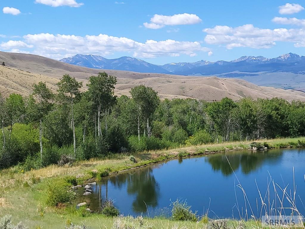 451 Peterson Creek Road Leadore, ID 83464 - Photo 31 of 34