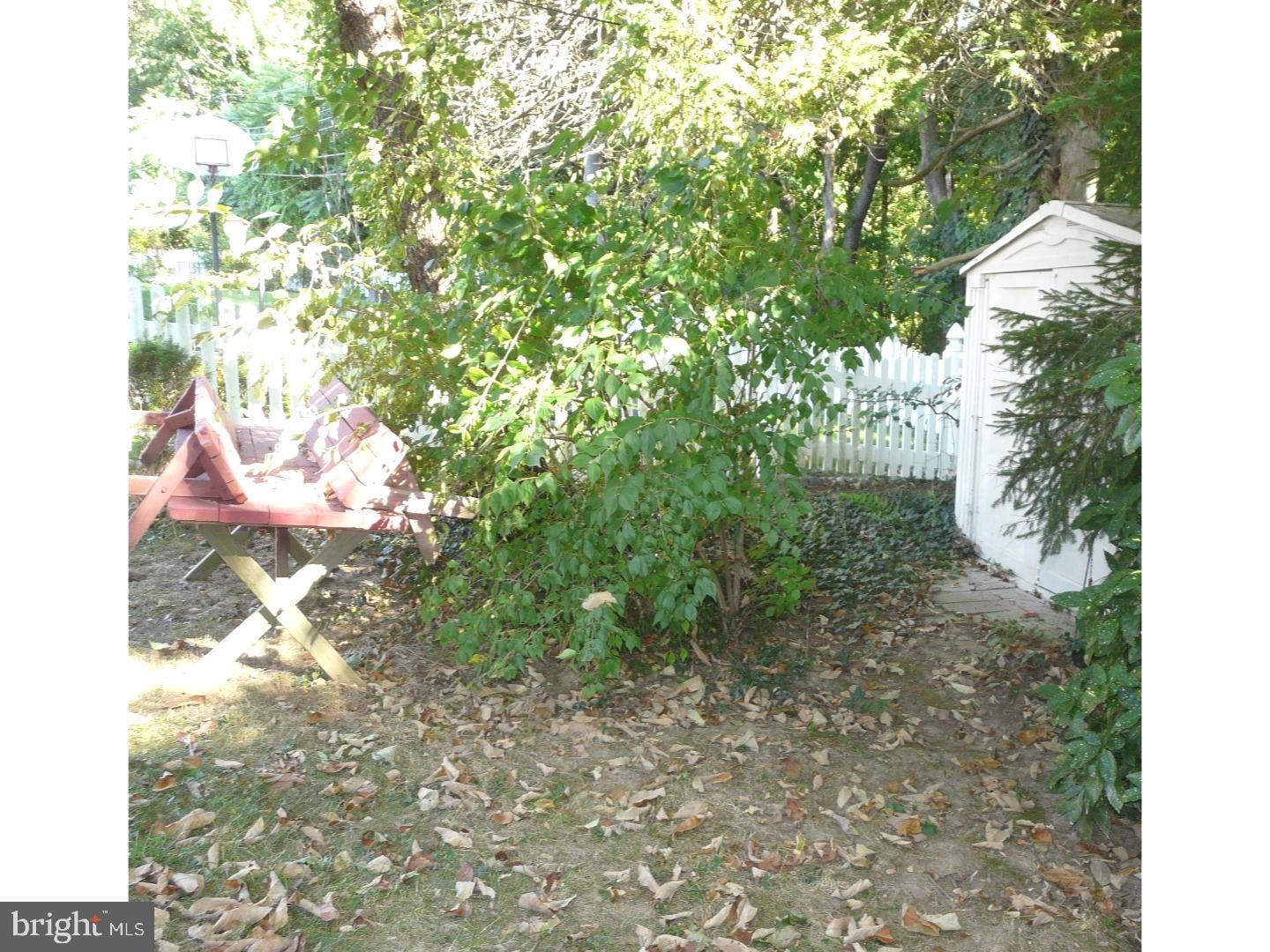 417 Maddock Road Springfield, PA 19064 - Photo 23 of 25 Back Yard