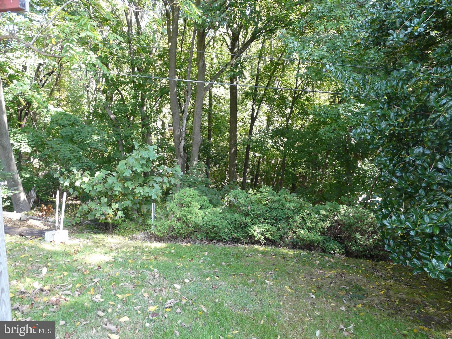 417 Maddock Road Springfield, PA 19064 - Photo 9 of 25 View in Back