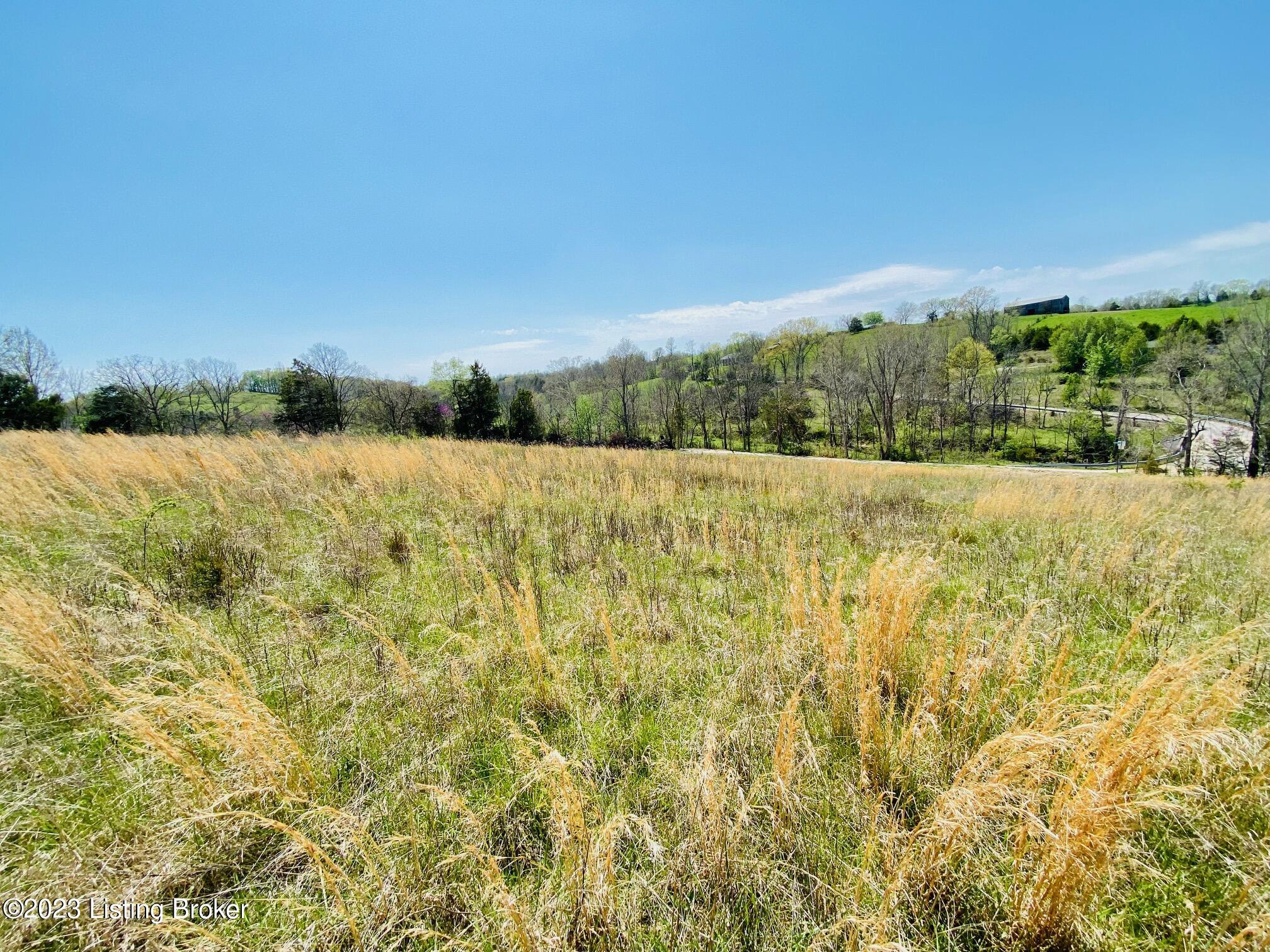 Lot#16 Battle Road Mackville, KY 40040 - Photo 5 of 8 IMG_3431