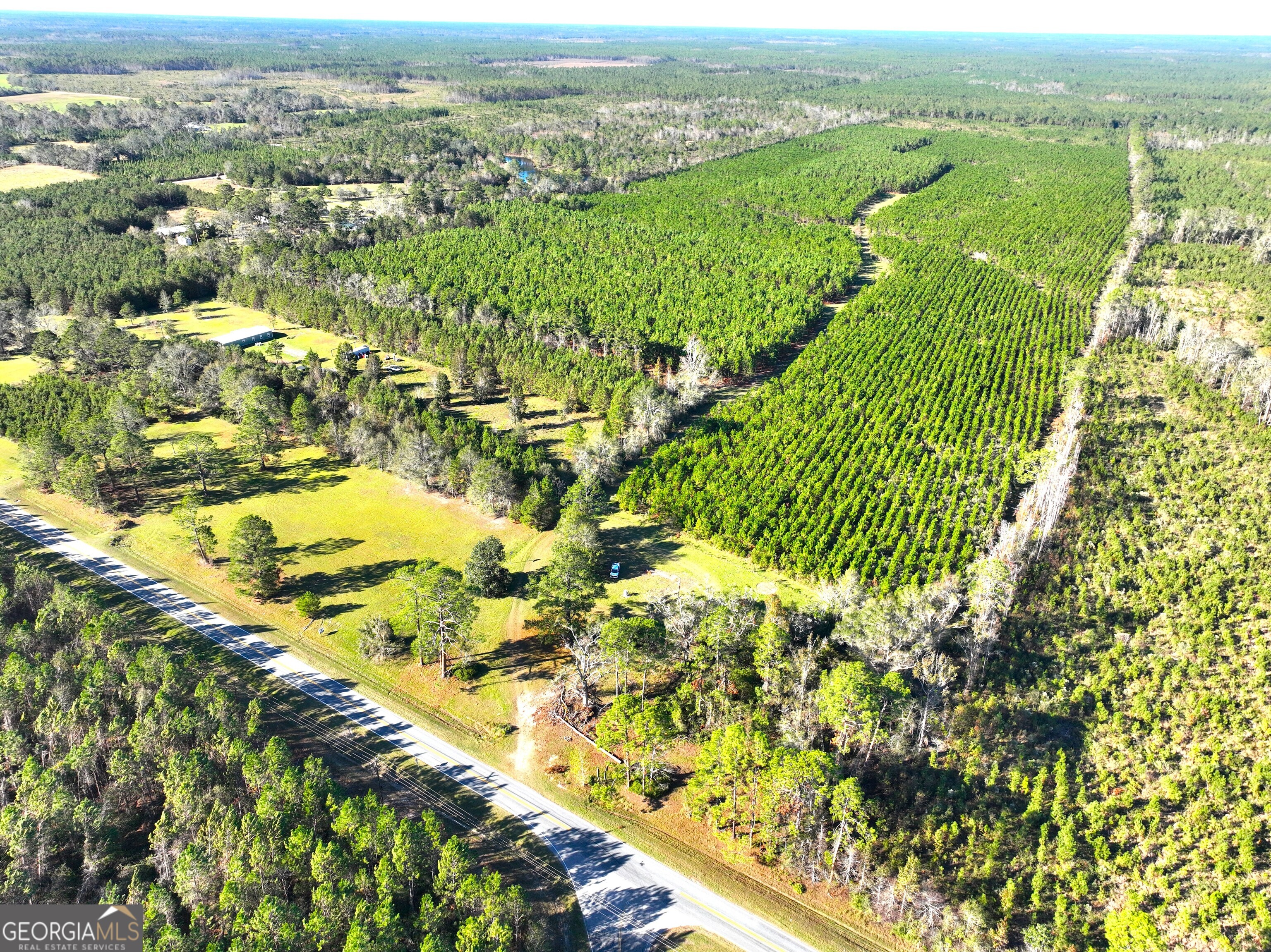 112-acres Telemore Dixie Union Road Waycross, GA 31501 - Photo 1 of 1 Gallery Image 1