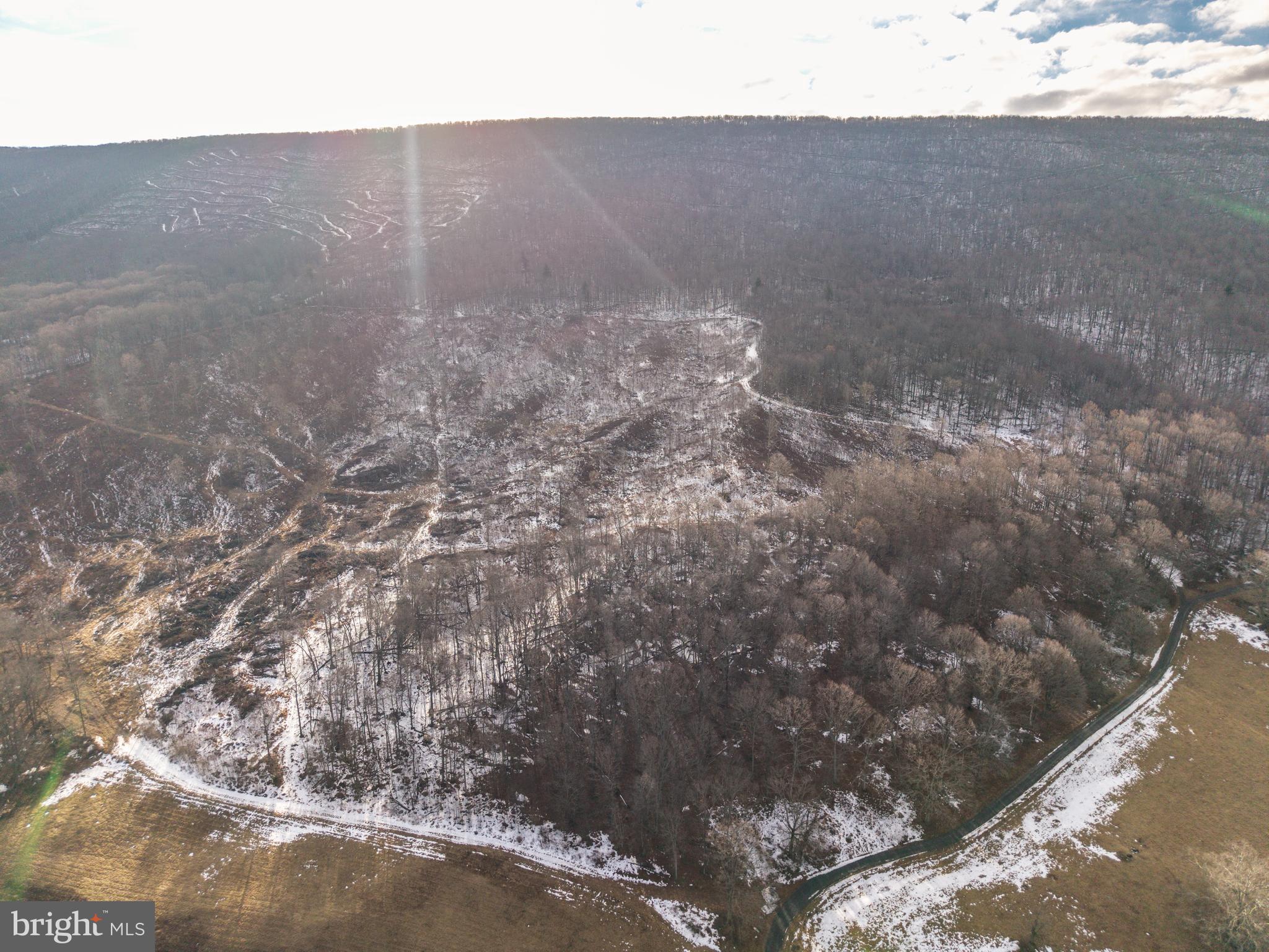 0 Spring Valley Road Gap Mills, WV 24941 - Photo 10 of 37