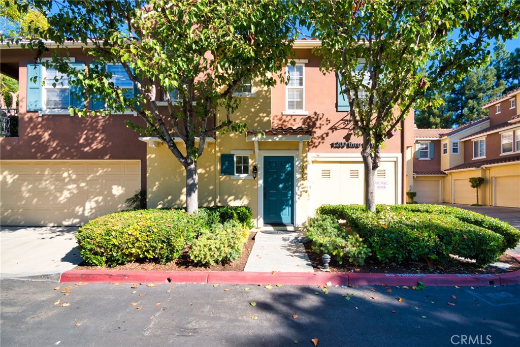 a view of a street with potted plants and large trees