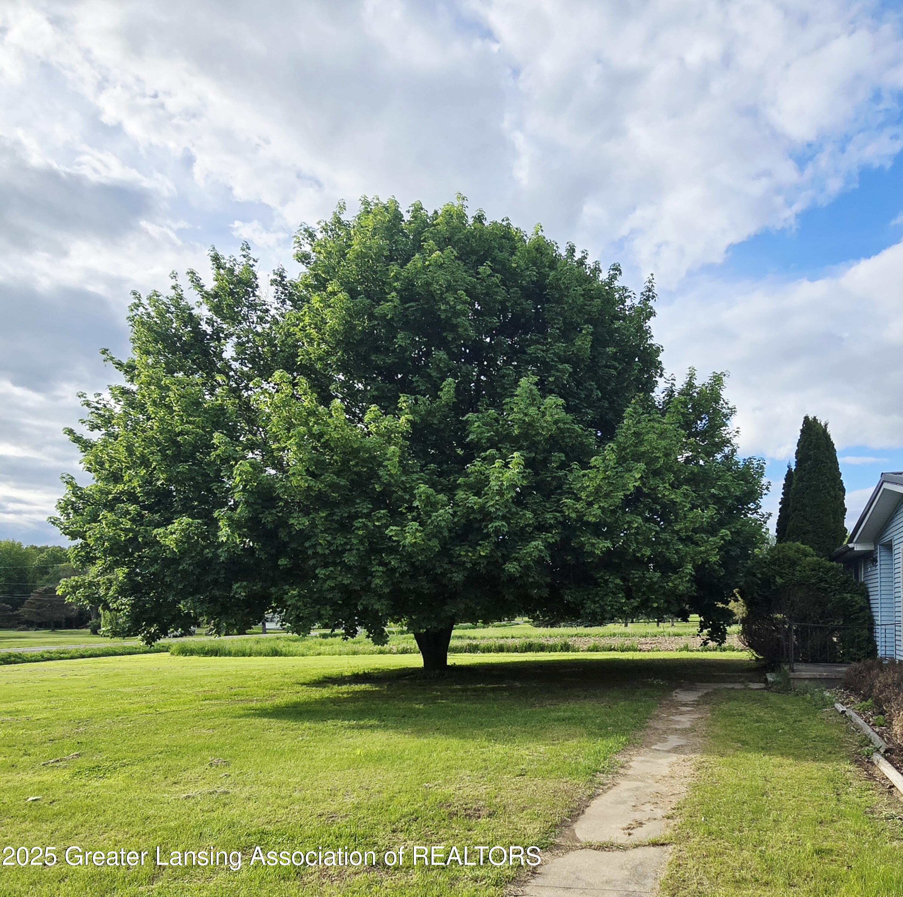 1279 Leland Road Ovid, MI 48866 - Photo 3 of 12 leland tree