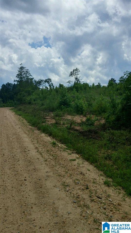 0 County Road 253, Unit 19 Clanton, AL 35045 - Photo 3 of 5