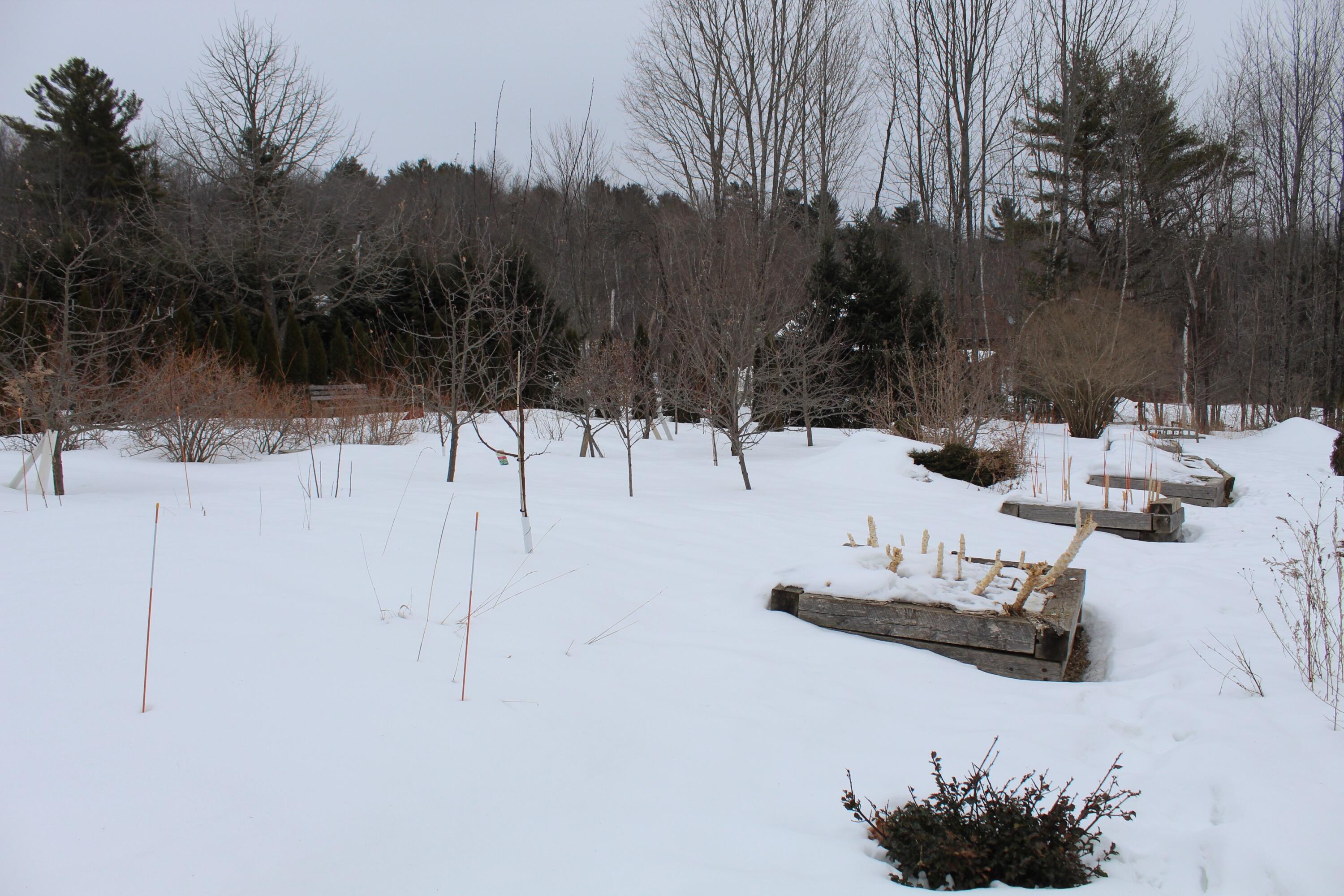 759 Brooks Road Knox, ME 04986 - Photo 12 of 24 Raised beds