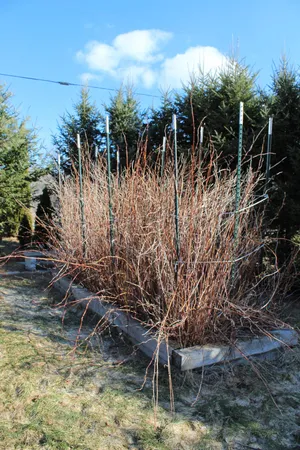 $625,000 | 759 Brooks Road, Knox, ME 04986