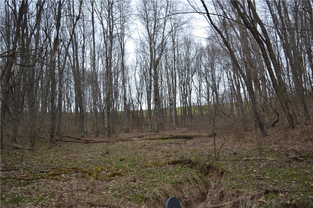 0 Sandstone Road Kittanning, PA 16201 - Photo 5 of 9 Gallery Image 5