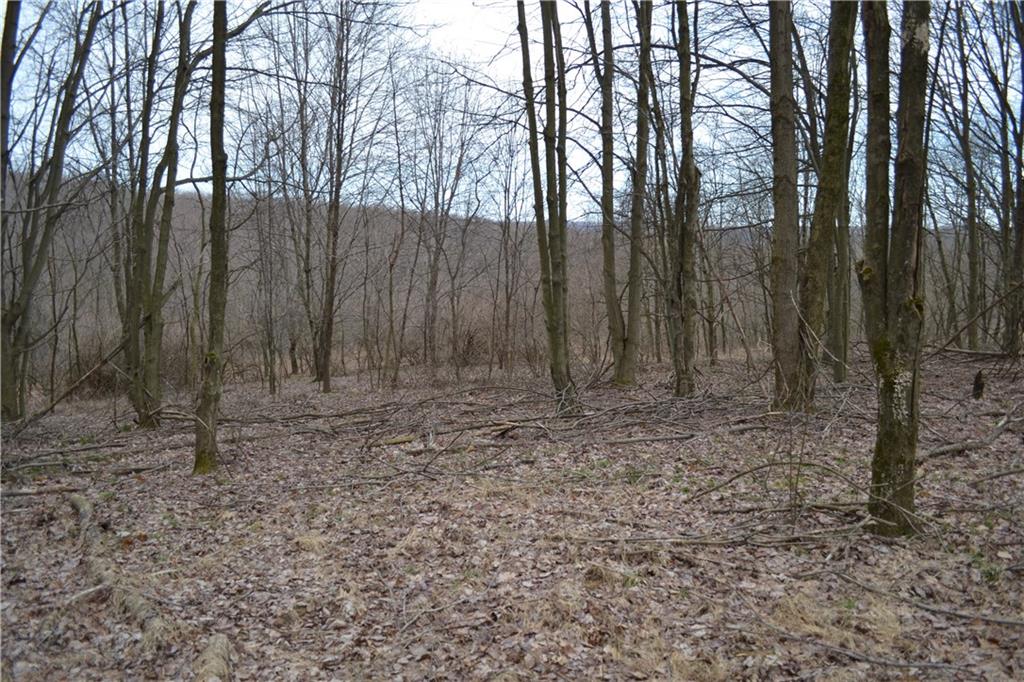 0 Sandstone Road Kittanning, PA 16201 - Photo 8 of 9 Gallery Image 8