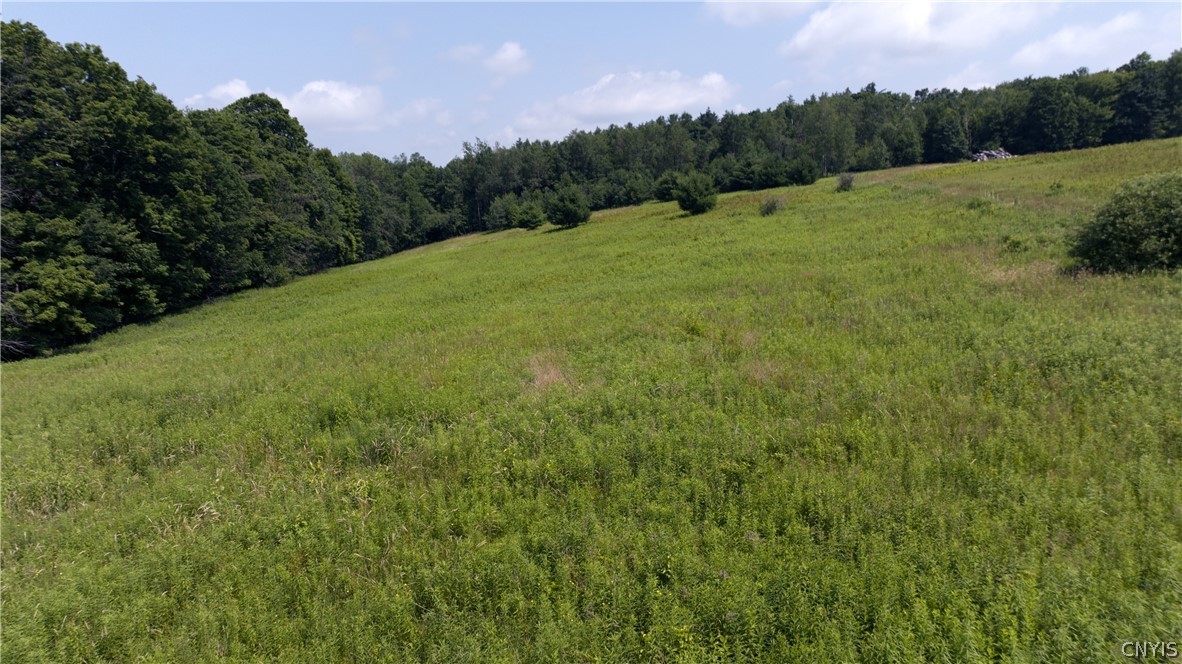137 Windham Road Smithville, NY 13778 - Photo 4 of 20