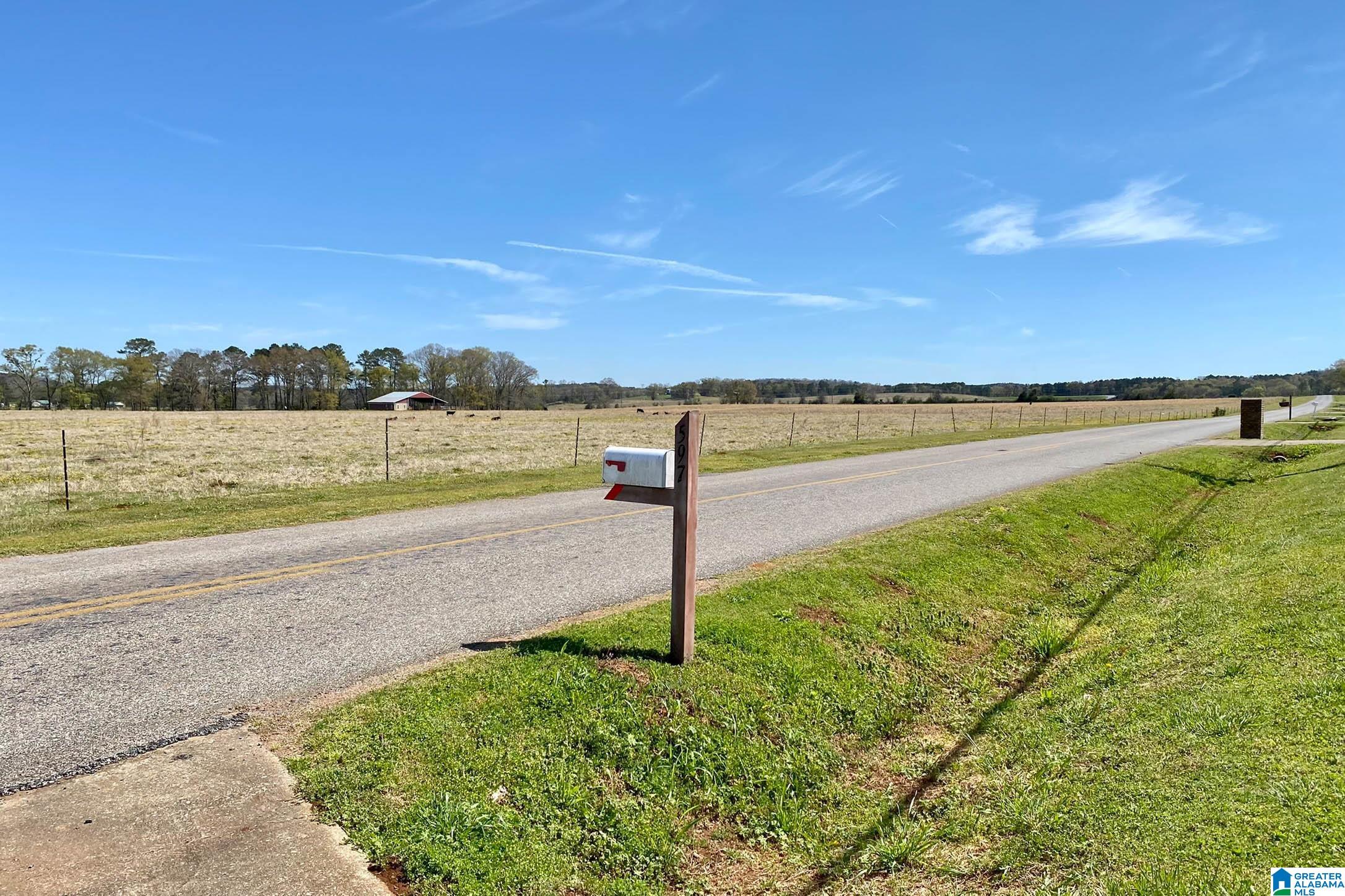 597 Springhill Road Talladega, AL 35160 - Photo 29 of 50