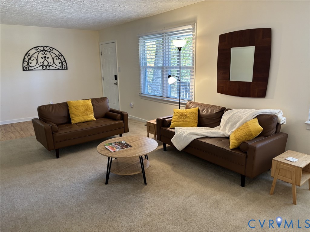 3856 River Road West Goochland, VA 23063 - Photo 8 of 15
