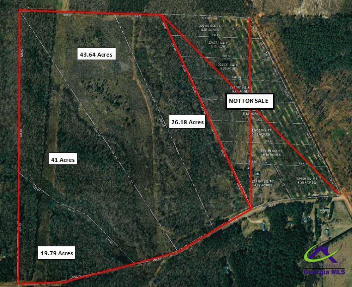 0 Henson Road Hawkinsville, GA 31036 - Photo 2 of 2