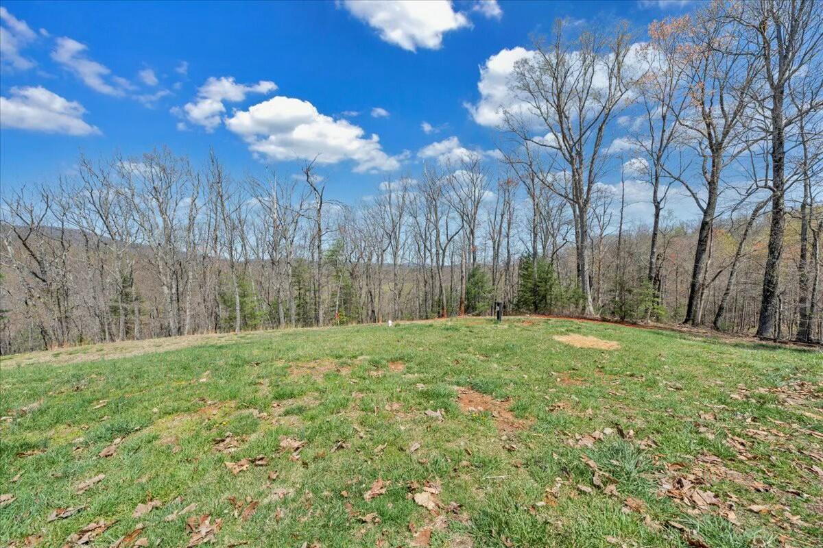 220 Fox Run Road Boones Mill, VA 24065 - Photo 49 of 81 Potential Barn Area