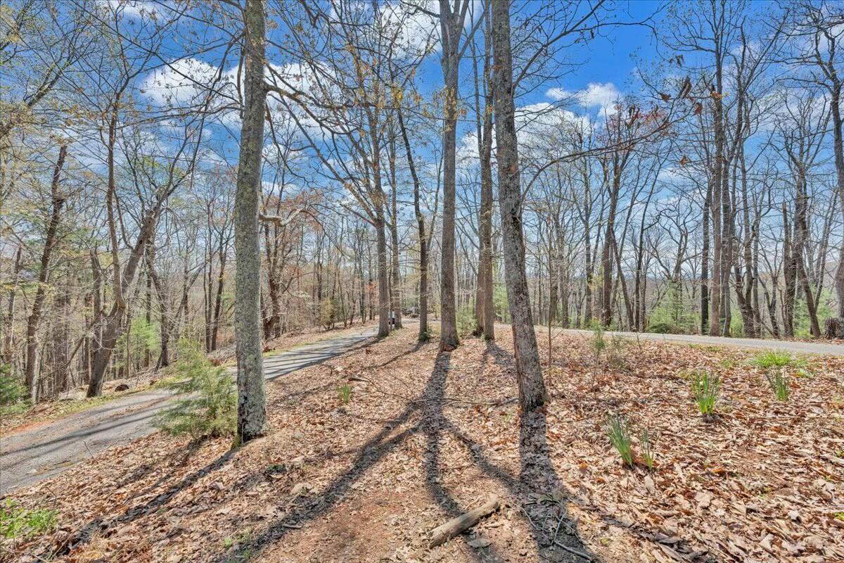 220 Fox Run Road Boones Mill, VA 24065 - Photo 56 of 81 tempImagehHR80X