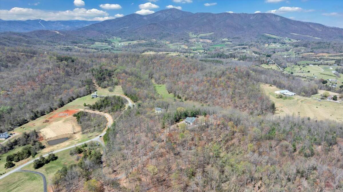220 Fox Run Road Boones Mill, VA 24065 - Photo 64 of 81 tempImageeOMZcs