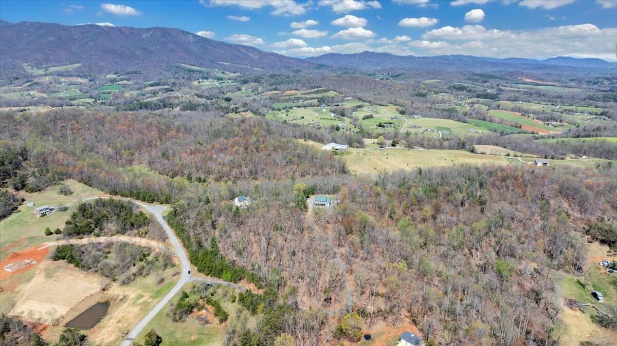 220 Fox Run Road Boones Mill, VA 24065 - Photo 65 of 81 tempImage5HrRNg