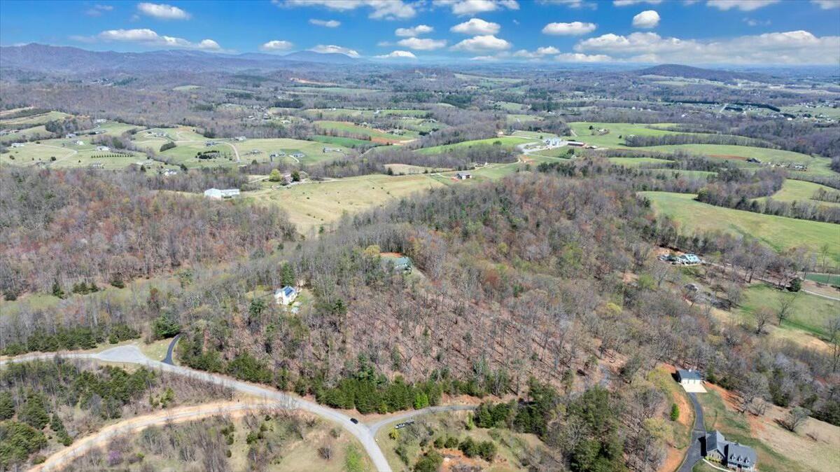 220 Fox Run Road Boones Mill, VA 24065 - Photo 66 of 81 tempImage6n1af6