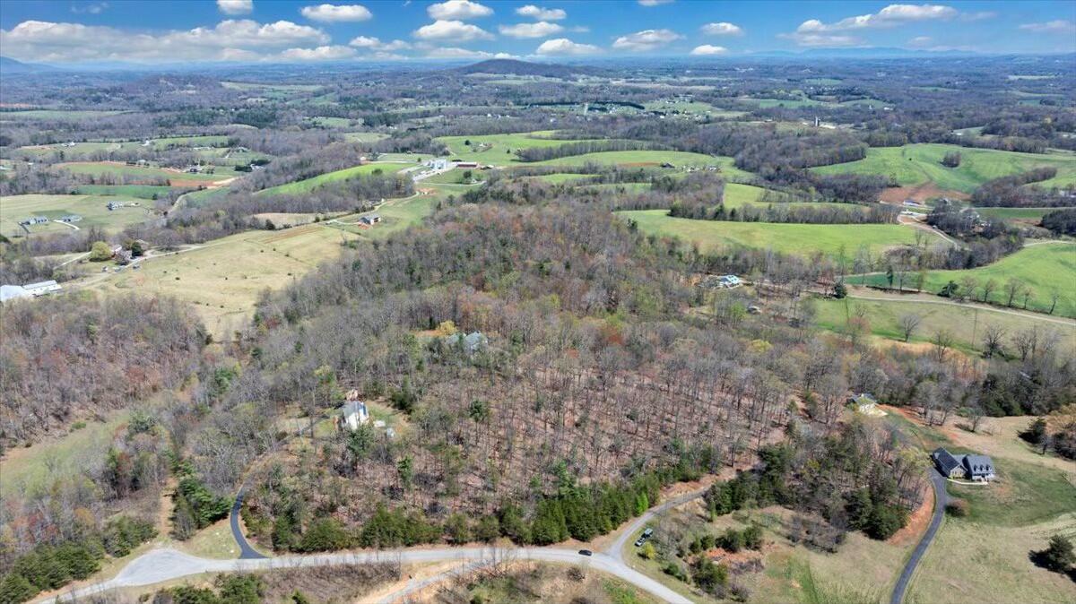 220 Fox Run Road Boones Mill, VA 24065 - Photo 67 of 81 tempImage0FvcMX