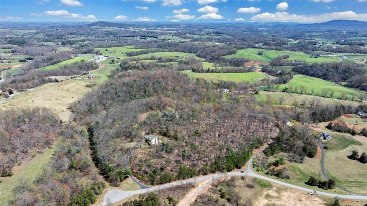 220 Fox Run Road Boones Mill, VA 24065 - Photo 68 of 81 tempImageVHHfpT