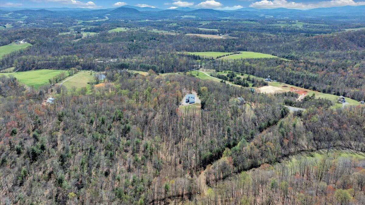 220 Fox Run Road Boones Mill, VA 24065 - Photo 69 of 81 tempImage3z2cOC