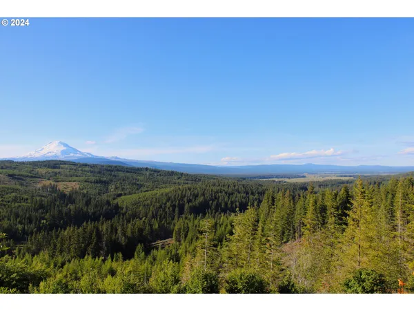 $308,000 | Bz Glenwood Highway, Unit 2, White Salmon, WA 98672