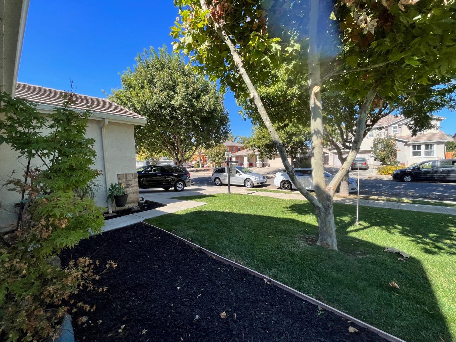 1450 Longhorn Lane Patterson, CA 95363 - Photo 12 of 32 a view of a yard with plants and a large tree