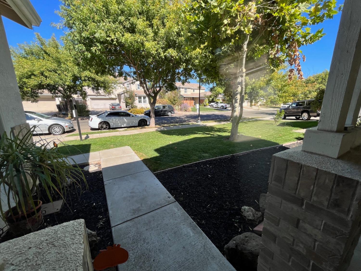 1450 Longhorn Lane Patterson, CA 95363 - Photo 14 of 32 a view of a park with large trees