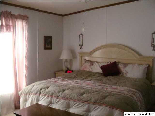 325 Big Springs Road Woodstock, AL 35188 - Photo 17 of 18