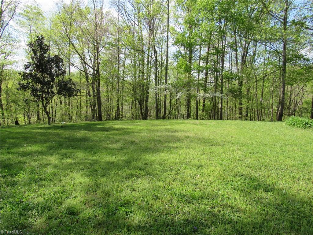 1320 Old Mail Rte Road King, NC 27021 - Photo 10 of 30