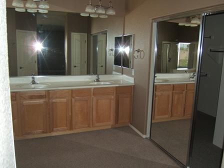 4322 East Branded Road Gilbert, AZ 85297 - Photo 9 of 10 Master bath