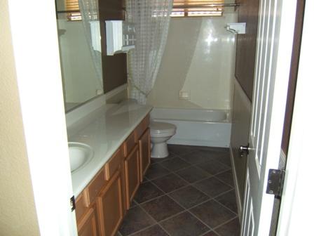 4322 East Branded Road Gilbert, AZ 85297 - Photo 10 of 10 Hall bath
