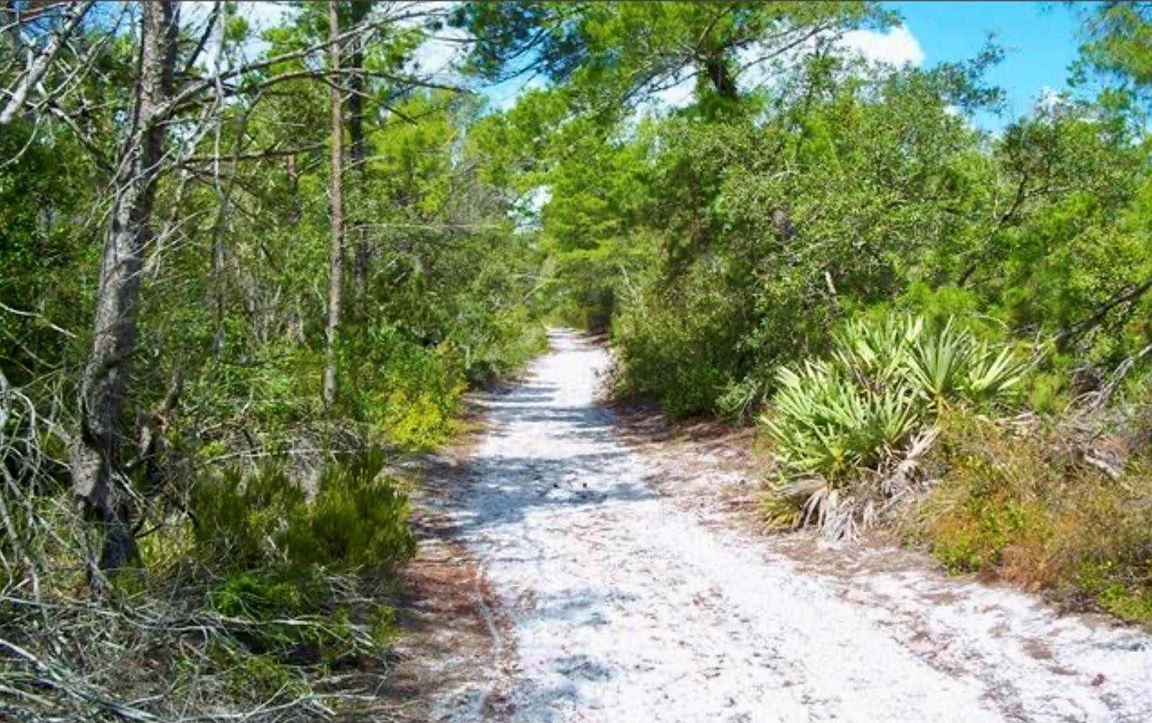 5400 Southeast Jack Avenue Stuart, FL 34997 - Photo 20 of 20 a view of a pathway both side of yard