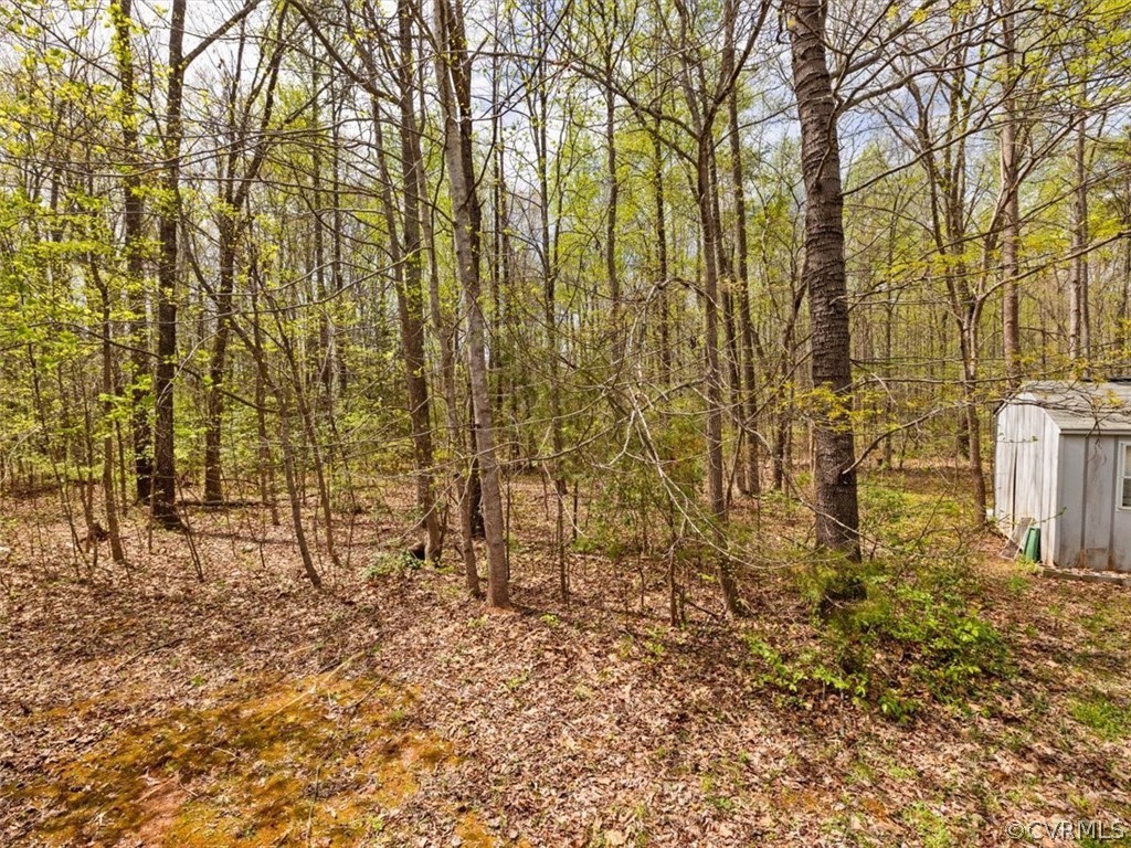 4271 Three Bridge Road Powhatan, VA 23139 - Photo 19 of 21 Gallery Image 19