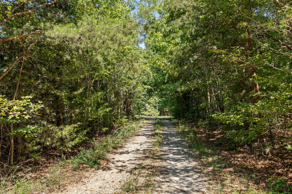 Lees Mill Road, Unit 3 Chase City, VA 23924 - Photo 40 of 64 Gallery Image 40