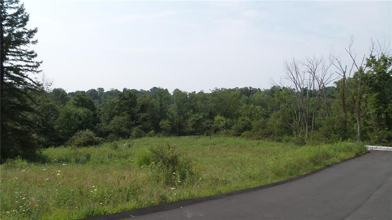 0 Unity Center Road Pittsburgh, PA 15239 - Photo 2 of 20 Right side looking to Left