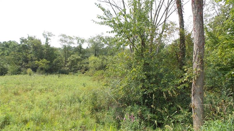 0 Unity Center Road Pittsburgh, PA 15239 - Photo 18 of 20 Treeline before land starts sloping down hill.
