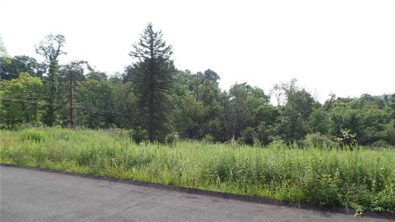 0 Unity Center Road Pittsburgh, PA 15239 - Photo 19 of 20 Photo taken from Right of Property from Plum Animal Hospital Parking lot.