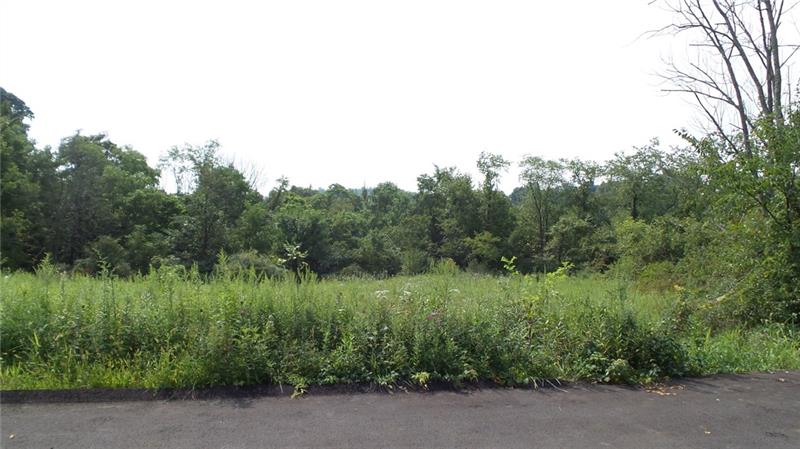 0 Unity Center Road Pittsburgh, PA 15239 - Photo 20 of 20 Photo taken from Parking Lot on right of property (Plum Animal Hospital)