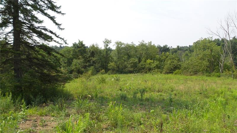 0 Unity Center Road Pittsburgh, PA 15239 - Photo 6 of 20 View from level portion of property, that then slopes down the hill from the back treeline.