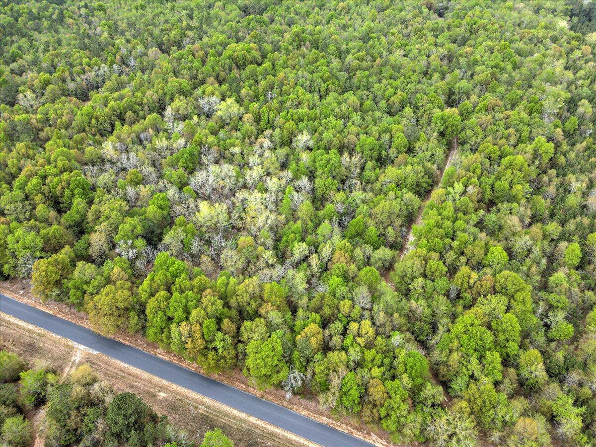 0 Millers Pond Road, Unit LOT 6 Salley, SC 29137 - Photo 6 of 12