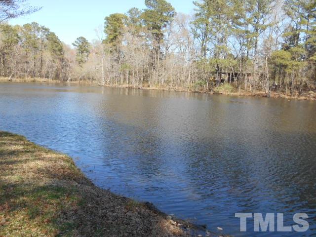 6591 Dwight Rowland Road Willow Spring, NC 27592 - Photo 2 of 16 a view of a lake with houses