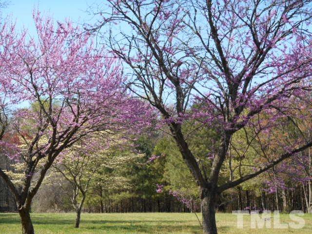 6591 Dwight Rowland Road Willow Spring, NC 27592 - Photo 7 of 16 a view of a yard with large trees