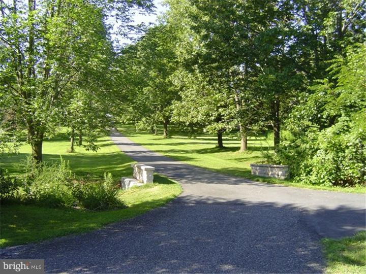 1842 Little Conestoga Road Elverson, PA 19520 - Photo 22 of 22 Driveway