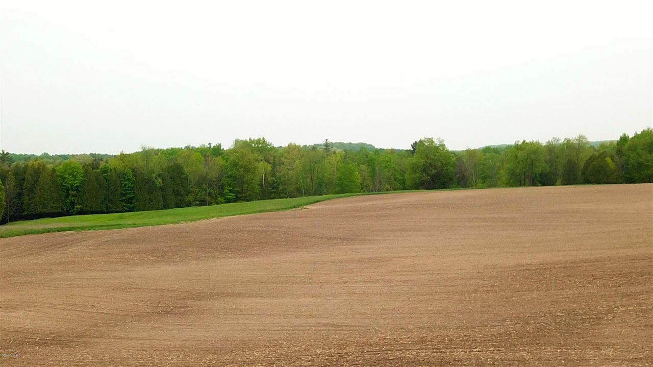 Tbd 7 Mile (86.47 Acres) Road Remus, MI 49340 - Photo 10 of 29