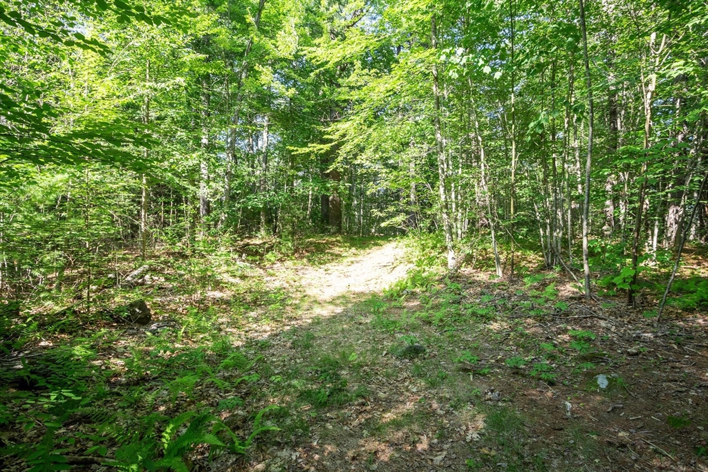 0 Ward Hill Road Phillipston, MA 01331 - Photo 8 of 9 Gallery Image 8