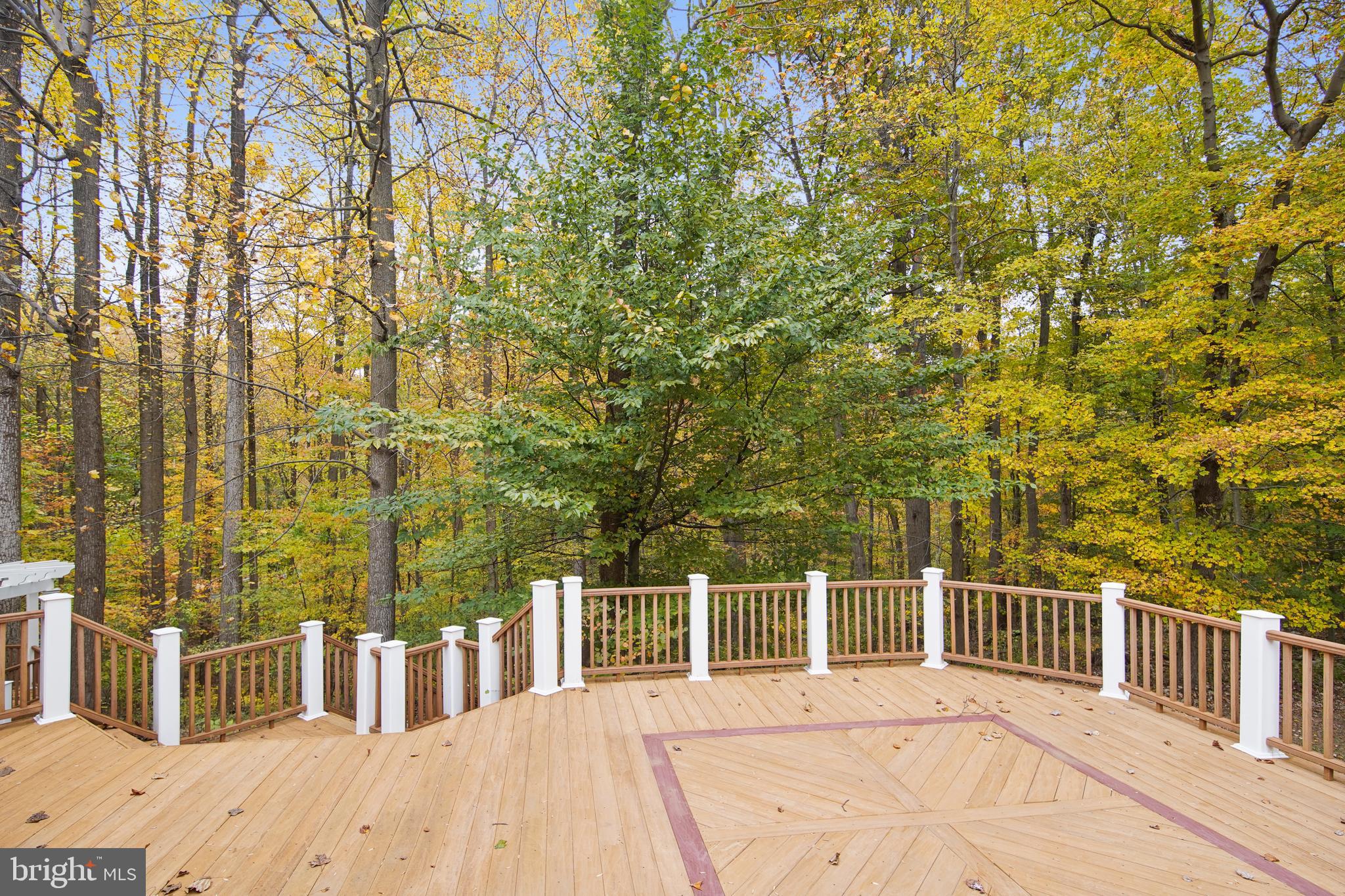 6661 South Clifton Road Frederick, MD 21703 - Photo 60 of 68 Rear view