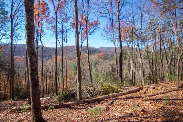 a view of a backyard of the house