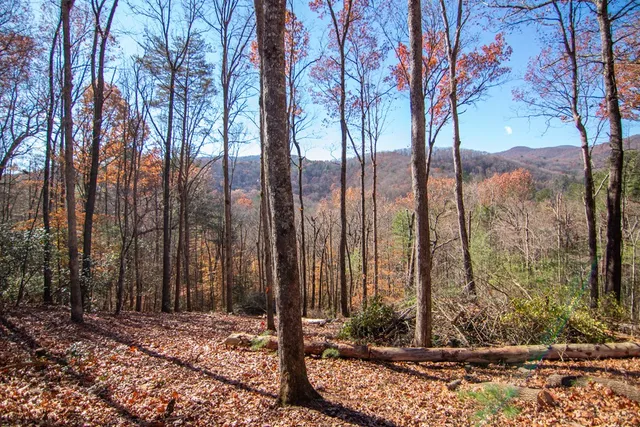 a view of a backyard of the house